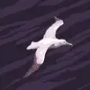 Marybeth Wright - @marybeth.wright7 - TikTok