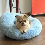 Marybeth Wright - @marybeth.wright.33 - Instagram