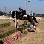 MaryBeth Young - @m.youngequestrian - Instagram