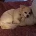 Marybeth Young - Facebook