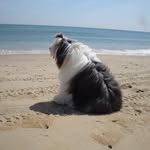 Mary-Ellen Bailey - @maryellenbailey2085 - Instagram