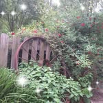 MaryEllen Bailey - @maryellen.bailey.5494 - Instagram
