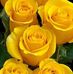 Maryelen Castro - Facebook