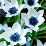 iamriverwilliams - @maryellenconway1616 - Instagram