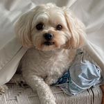 MaryEllen Julius Conway - @maryellenconwayjulius - Instagram