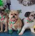 Maryellen Ferguson - Facebook
