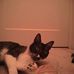 Mary Ellen Johnston - Facebook