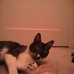 Mary Ellen Johnston - @maryellen.johnston.14 - Instagram