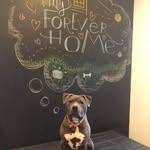 Mary Ellen Moore - @maryellen.moore.397 - Instagram