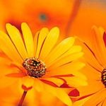 maryellen nelson - @maeyellenelson2007 - Instagram