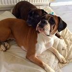 Maryjane Campbell - @campbell_maryjane - Instagram
