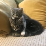 Mary Jane Ford - @maryjaneford9 - Instagram