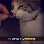 Maryjane ford - @maryjane_0505 - Instagram