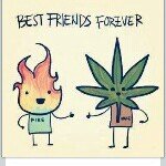Not Required - @maryjanefox - Instagram