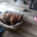 Mary Jane Gilbertson - Facebook