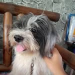 Maryjane Reabad De Leon - @maryjanereabad - Instagram