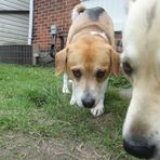 MaryJane Mitchell - Facebook