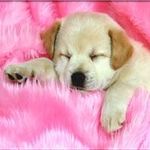 Mary Jane Mora - @maryjane.mora.5836 - Instagram