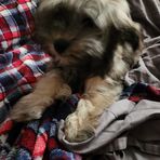 Mary Jane Ward - Facebook