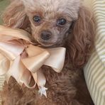 Mary Jane Wolfe - Facebook