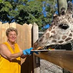 Maryjo Brown - @maryjo.brown.716 - Instagram