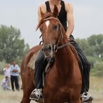 marylee smith - @maryleesmith43 - Instagram