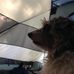Marylou Breen - Facebook