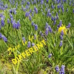Mary Lou Morford Finchum - @maryloumorfordfinchum - Instagram
