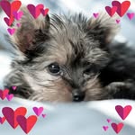 MaryLou Goodman - @gemii1311940 - Instagram