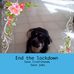 Marylou Graham - Facebook