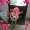 marylougraham277 - @marylougraham277 - TikTok