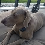 Gregory-Mary Lou Calhoun - @gregorymaryloucalhoun - Instagram