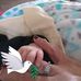 Madilou Hadley - Facebook