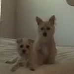 Mary Lou Hadley - @grannylouhadley - Instagram