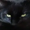 Mary  Hall - @mary.lou.hall6 - TikTok