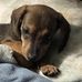 Mary Lou Hall - Facebook