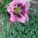 Mary Lou Hall - @marylou.hall.129 - Instagram