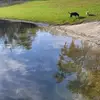 Marylou Hall - @marylou.hall1 - TikTok