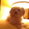 marylouhalliburto - @marylouhalliburto - TikTok