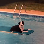 @marylouhammondbutler - Instagram