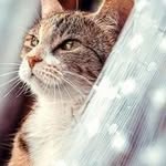 Marylouise - @marylouisehammond - Instagram