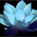 Marylou Sifers Holt - Facebook