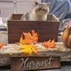Mary Lou Hunter - @mary.lou.hunter - TikTok