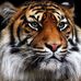 Marylou Hurter - Facebook