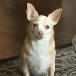MaryLou Hutton Manahan - @mizsophieinnyc - Instagram