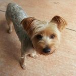 Mary Lou Jackson - @marylou.jackson.742 - Instagram
