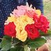 Marylou H. Johnson - Facebook