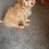 maryloujones76 - @marylou.jones - TikTok