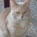 Marylou Marks - Facebook