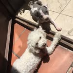 SimonaMarylu - @simonamarylu - Instagram